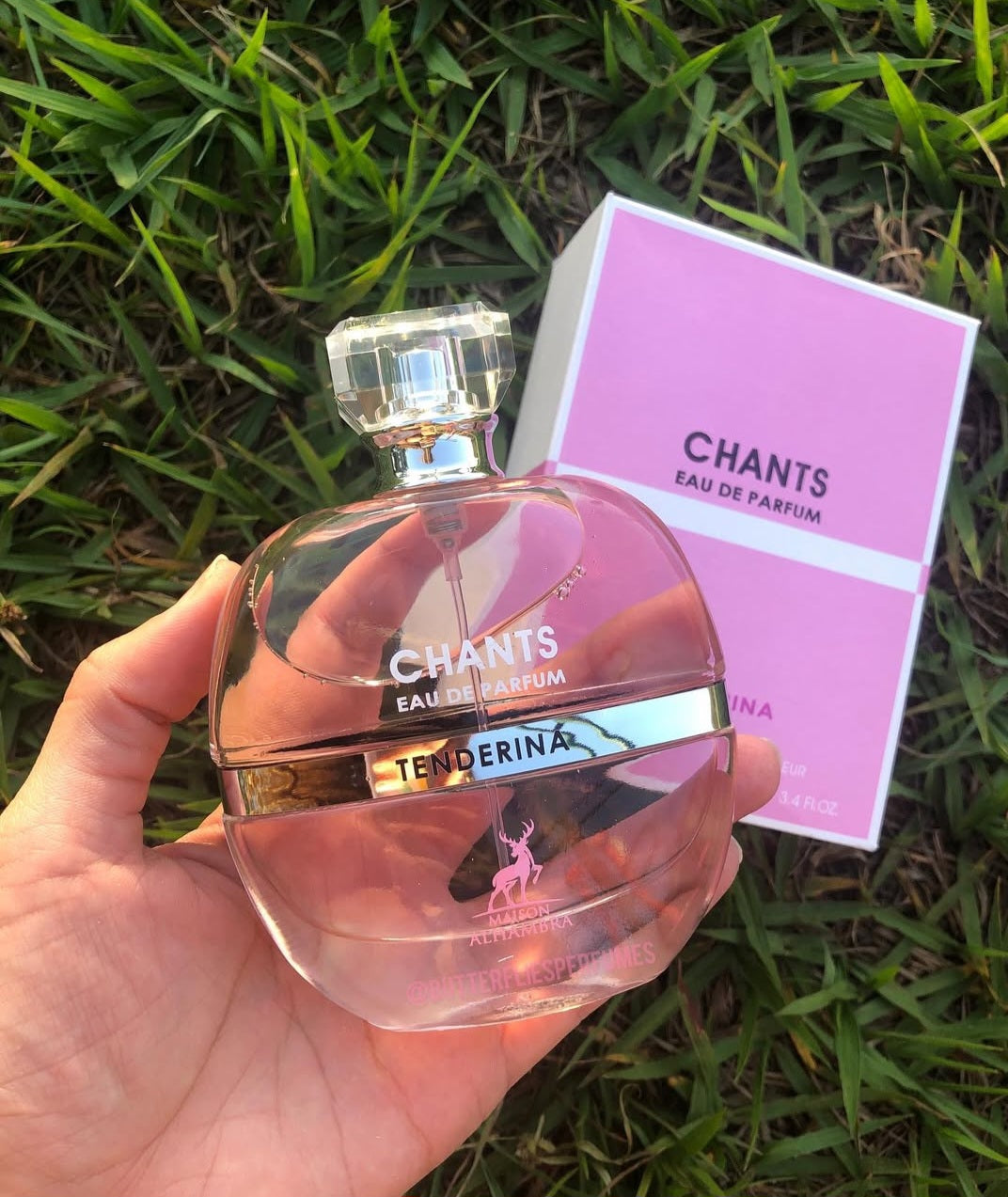 CHANTS TENDRINA (Ins: Chance de Chanel)