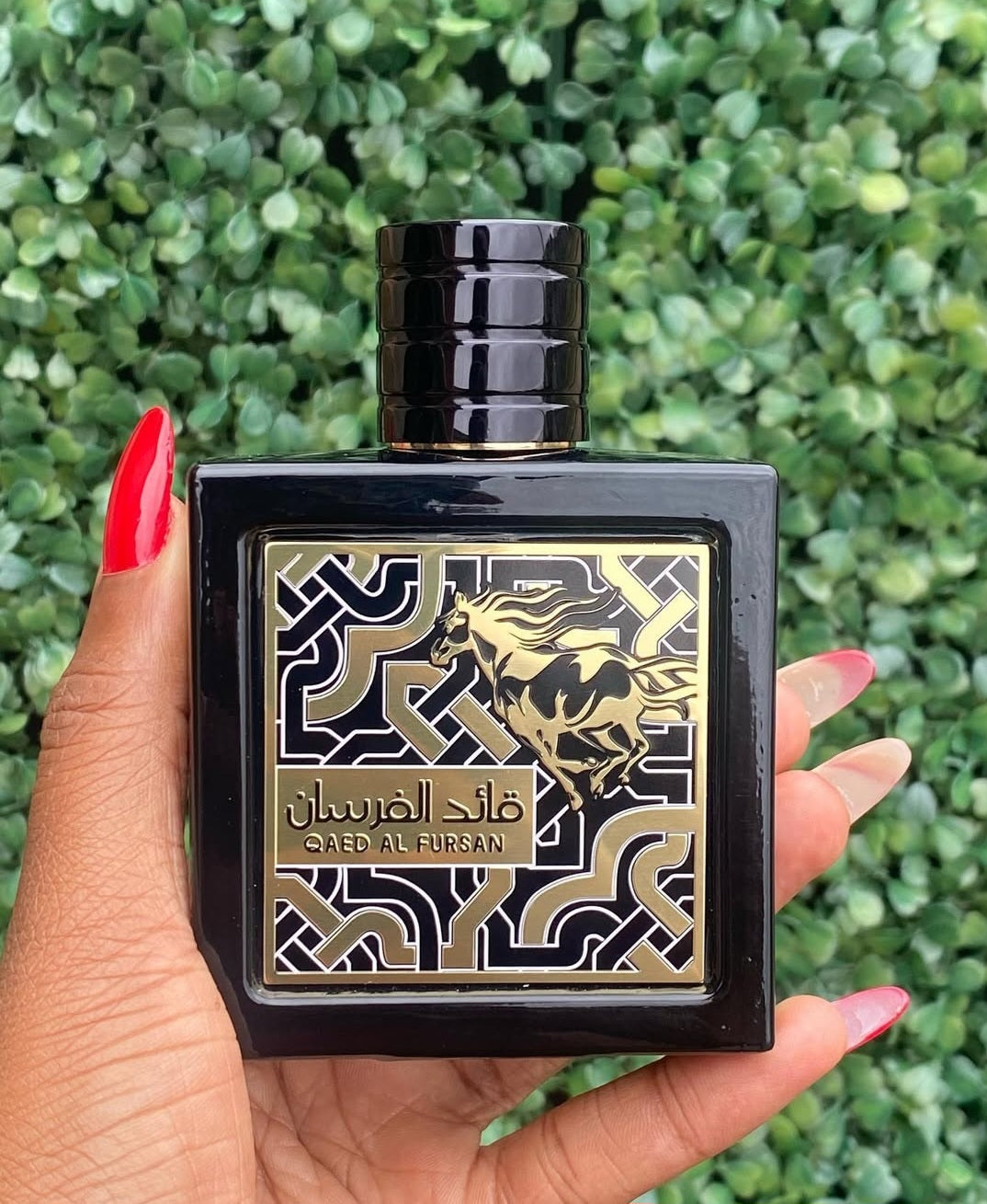 QAED AL FURSAN LATTAFA (Ins: Black XS by Paco Rabanne)