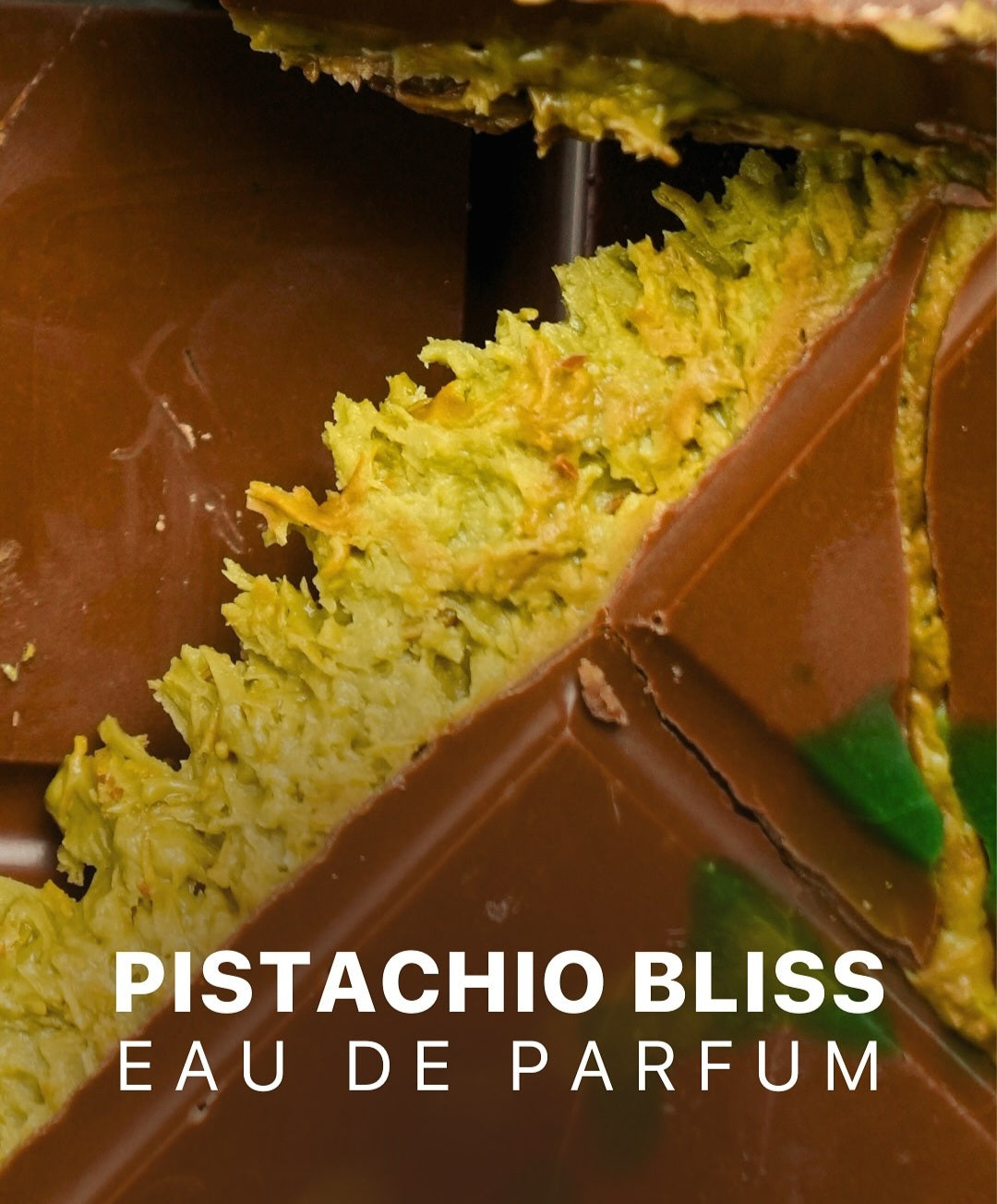 PISTACHIO BLISS BY CAMARA