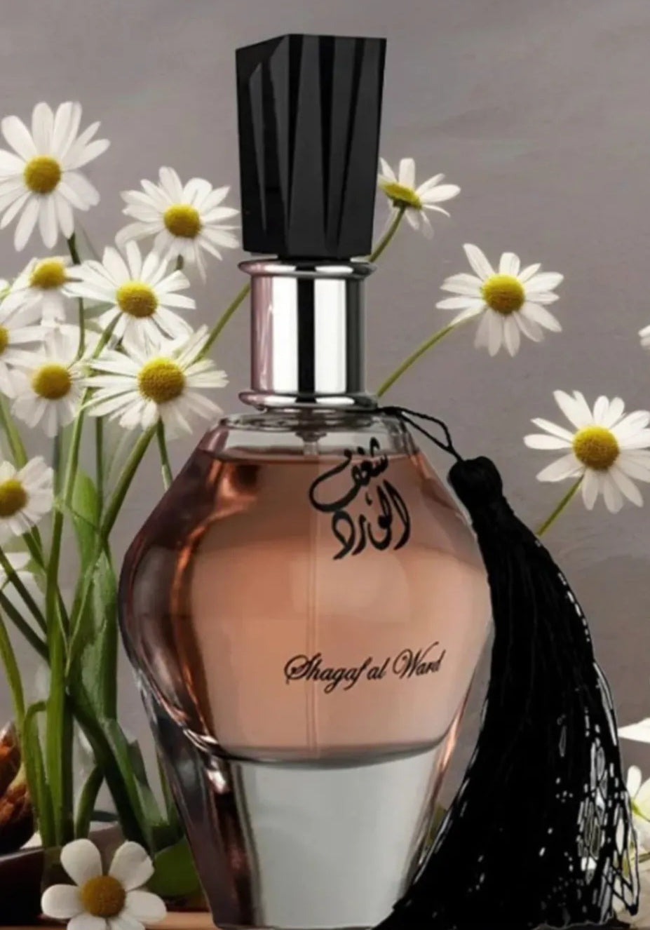 SHAGAF AL WARD 3.04 OZ EAU DE PERFUME  BY AL WATANIAH